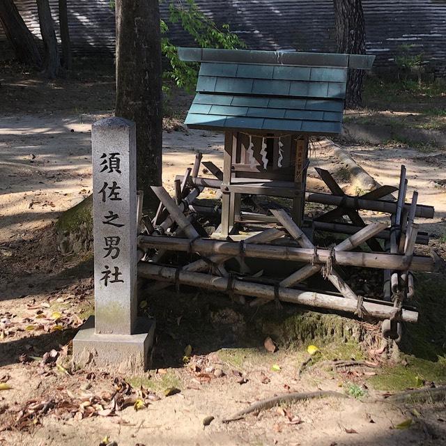 須佐之男社(大岡白山神社　境内)の参拝記録(ワヲンさん)