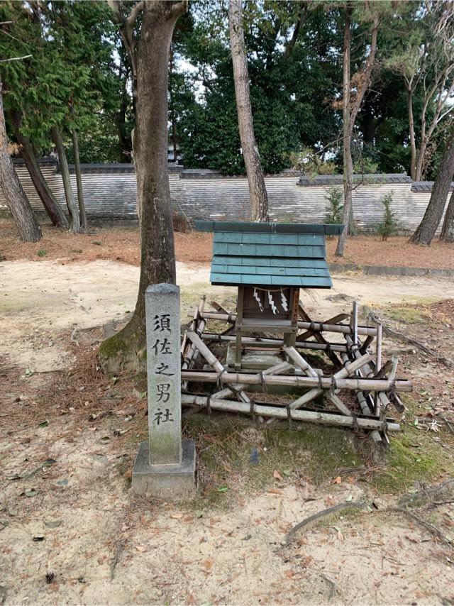 愛知県安城市大岡町宮東43 須佐之男社(大岡白山神社　境内)の写真1