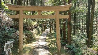 御手洗水神社の参拝記録(あっきーさん)