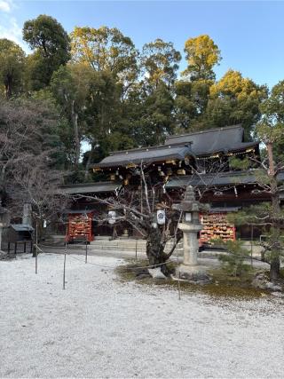 疫社(今宮神社 境内社)の参拝記録(⛩️🐍🐢まめ🐢🐍⛩️さん)