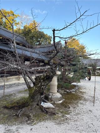 疫社(今宮神社 境内社)の参拝記録(⛩️🐍🐢まめ🐢🐍⛩️さん)