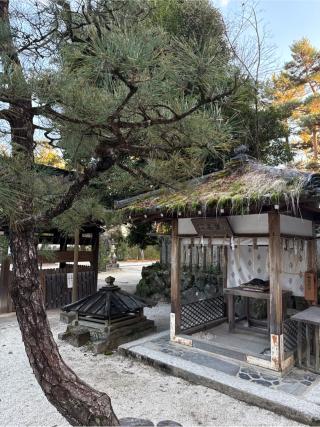 阿呆賢さん(今宮神社 境内)の参拝記録(⛩️🎠🐢まめ🐢🎠⛩️さん)