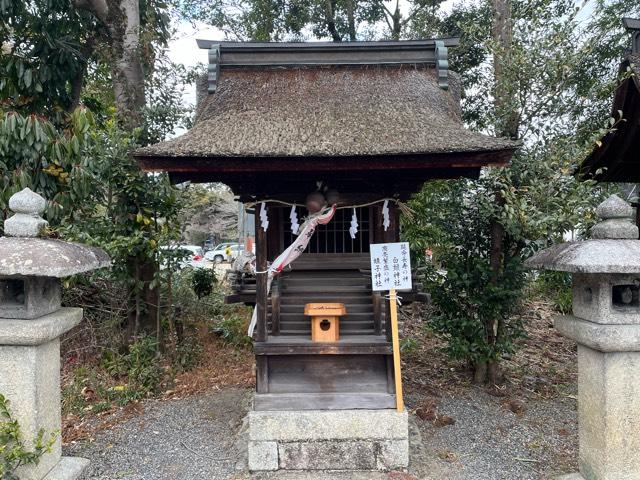 白鬚神社・蛭子神社(三尾神社)の参拝記録(忍さん)