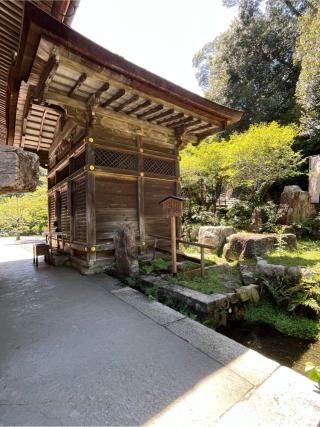 園城寺(三井寺) 閼伽井屋の参拝記録(あまぞんさん)