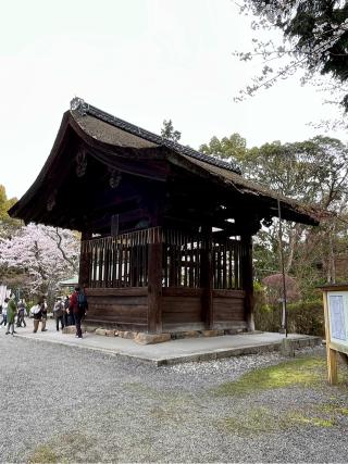 園城寺(三井寺) 鐘楼の参拝記録(qo_opさん)