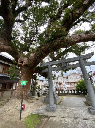 五道神社の参拝記録(みほさん)