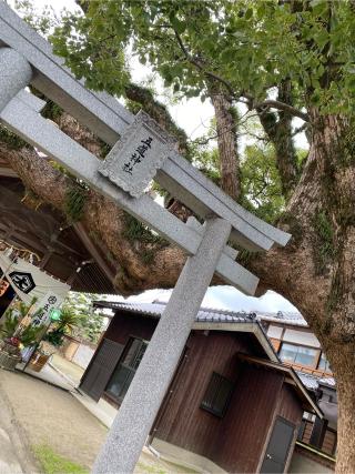 五道神社の参拝記録(みほさん)
