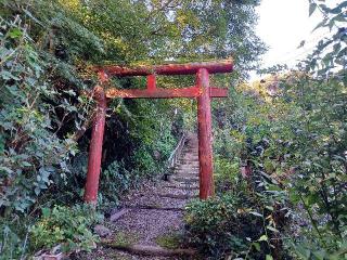 金毘羅神社の参拝記録(銀玉鉄砲さん)