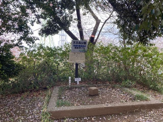八坂神社の参拝記録1