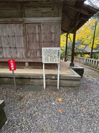 十柱神社(弥彦神社境内社)の参拝記録(こーちんさん)