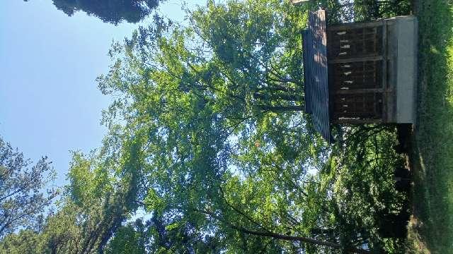 神明社・天満宮・金刀比羅神社(白髭神社境内社)の参拝記録1