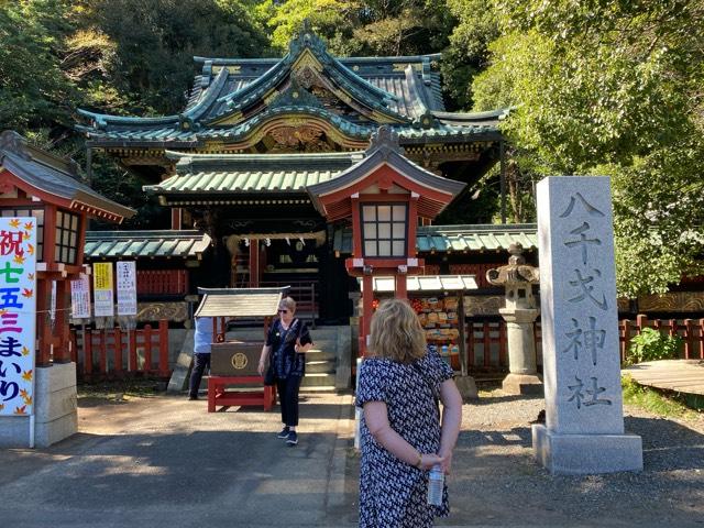 東照宮（八千戈神社合祀）の参拝記録1