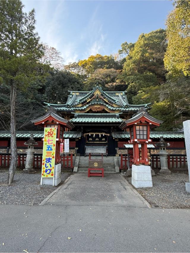東照宮（八千戈神社合祀）の参拝記録2