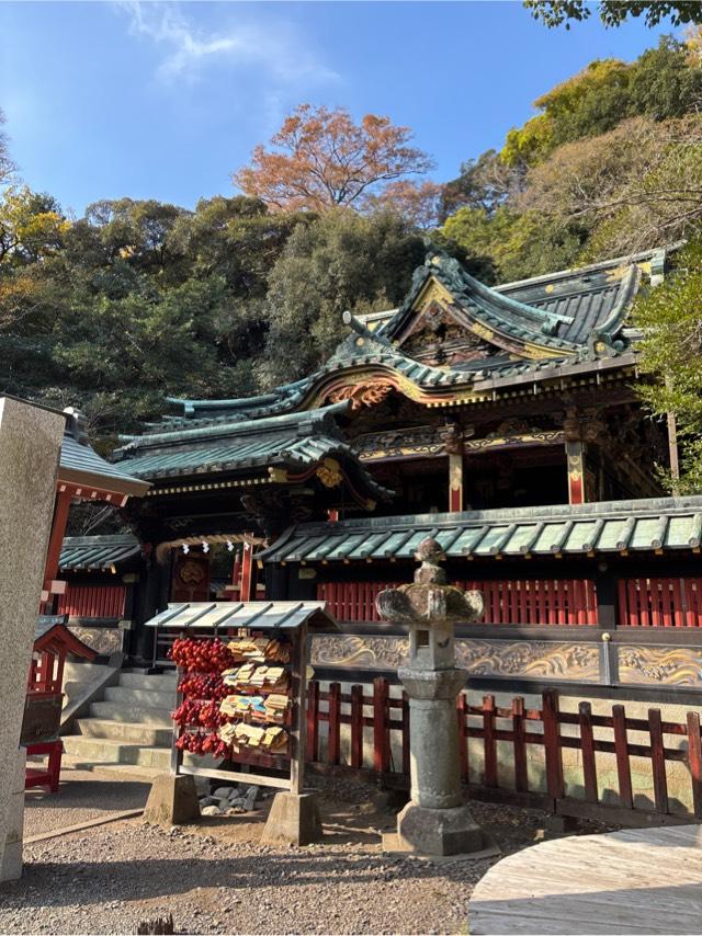 東照宮（八千戈神社合祀）の参拝記録1