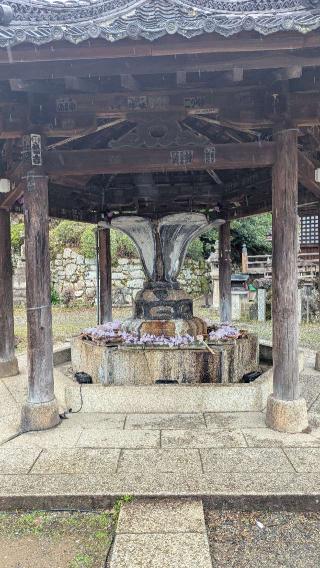 長等山 園城寺(三井寺)観音堂の参拝記録(くまたろうさん)