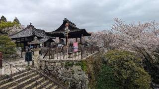 長等山 園城寺(三井寺)観音堂の参拝記録(くまたろうさん)