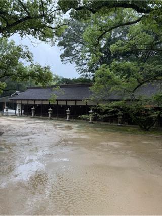 比目木邑神社(大山祇神社 境内社)の参拝記録(⛩️🎠🐢まめ🐢🎠⛩️さん)