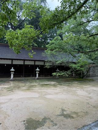 比目木邑神社(大山祇神社 境内社)の参拝記録(⛩️🎠🐢まめ🐢🎠⛩️さん)