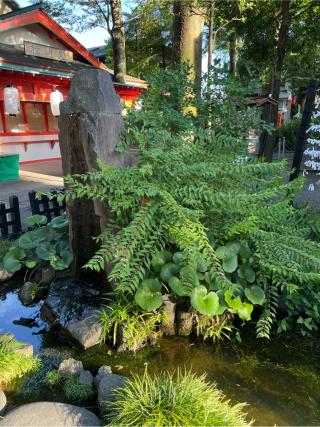 水神宮(田無神社境内社)の参拝記録(⛩️🐍🐢まめ🐢🐍⛩️さん)