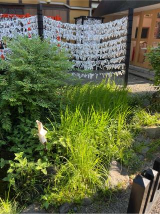 水神宮(田無神社境内社)の参拝記録(⛩️🐍🐢まめ🐢🐍⛩️さん)