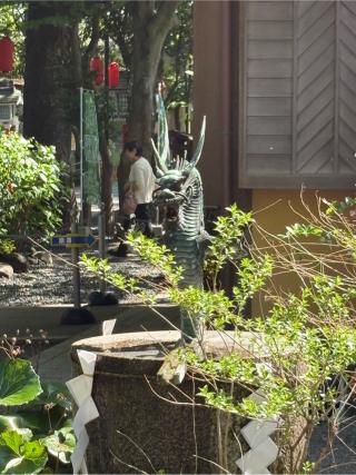 水神宮 龍神池 (田無神社境内)の参拝記録(色部優兎さん)