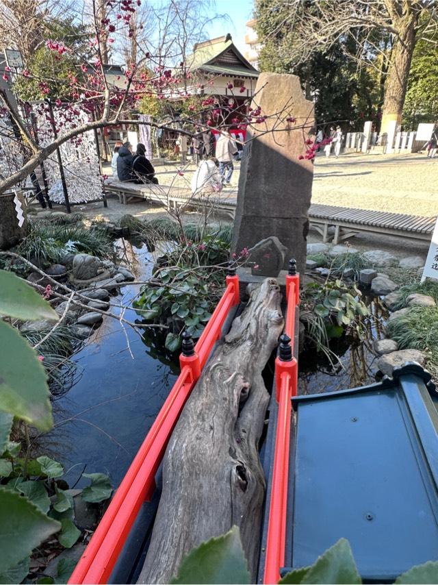 水神宮 龍神池 (田無神社境内)の参拝記録4