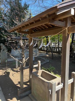 厳島神社(布多天神社)の参拝記録(⛩️🐇まめ🐢🐉さん)