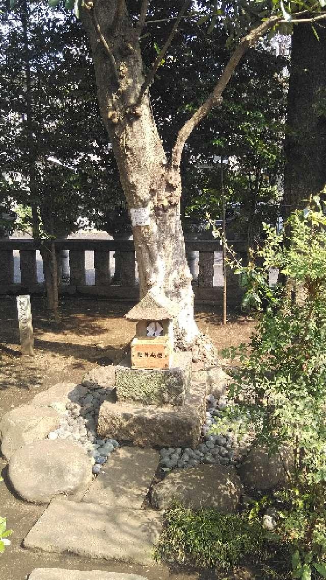 厳島神社(布多天神社境内社)の参拝記録5