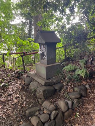 三郎殿(谷保天満宮)の参拝記録(⛩️🐍🐢まめ🐢🐍⛩️さん)