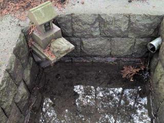 若木社の神木(鎮守府八幡宮境内)の参拝記録(SFUKUさん)