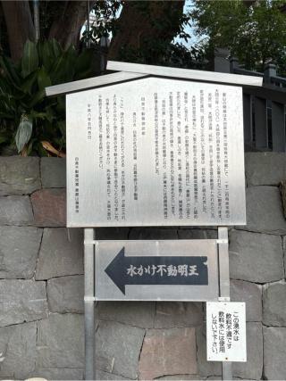 水かけ不動明王の参拝記録(色部優兎さん)