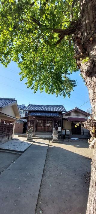 日枝神社の参拝記録(まーぼーさん)