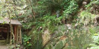 南無不動明王の参拝記録(不動明王さん)