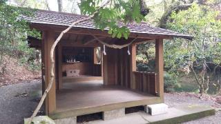 淡島神社の参拝記録(ruinさん)