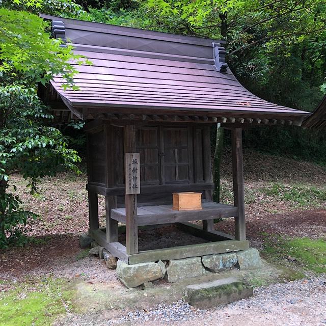 坂樹神社(吉備津彦神社境内社)の参拝記録1
