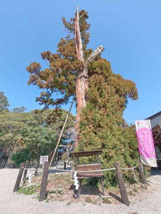 尺御崎神社(吉備津彦神社本殿北側)の参拝記録(あべちゃんさん)