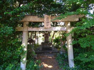 山川神社(玉井宮東照宮)の参拝記録(yukiさん)