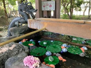 丹生川社（市原稲荷神社末社）の参拝記録(恭子さん)