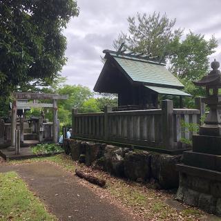 御井神社別宮龍神神社（池之宮）の参拝記録(ワヲンさん)