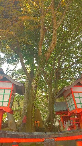 太皷谷稲成神社 命婦社の参拝記録(はにほへとさん)