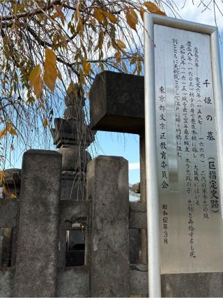 無量山 伝通院の参拝記録(ことよさん)