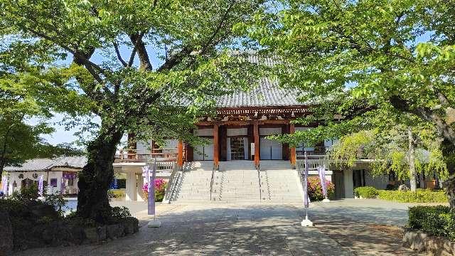 無量山 伝通院の参拝記録6