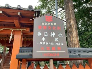 春日神社の参拝記録(すったもんださん)