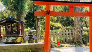 福寿稲荷神社(白雲神社)の参拝記録(すったもんださん)