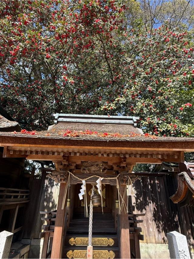 京都府京都市上京区京都御苑 繁栄稲荷社(宗像神社)の写真4