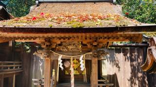繁栄稲荷社(宗像神社)の参拝記録(すったもんださん)