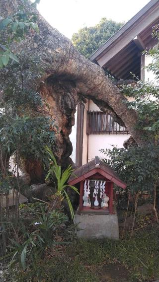 神明神社の参拝記録(パパスさん)