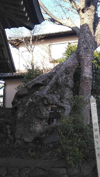 神明神社の参拝記録(パパスさん)