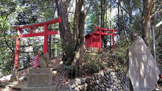 権現山稲荷神社(狭山神社境内社)の参拝記録1