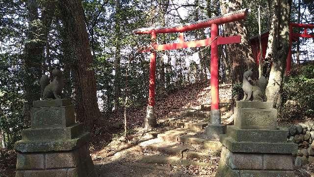 東京都西多摩郡瑞穂町箱根ケ崎１ 権現山稲荷神社(狭山神社境内社)の写真1